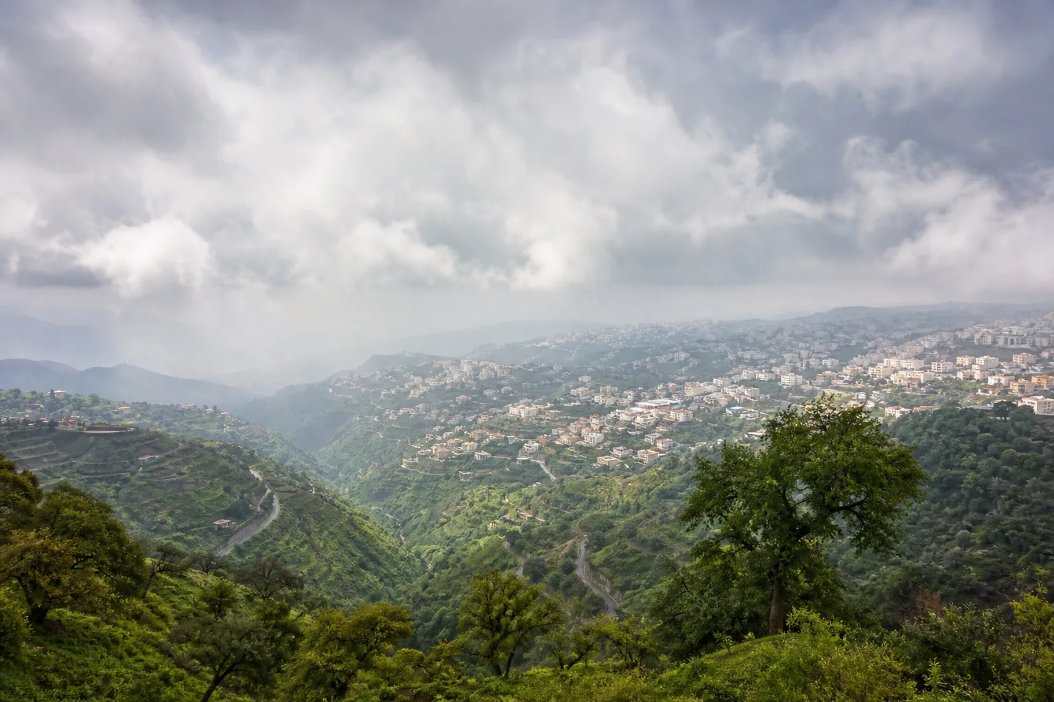 Local SEO for businesses in Abha, Saudi Arabia